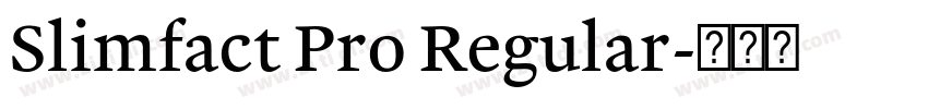 Slimfact Pro Regular字体转换